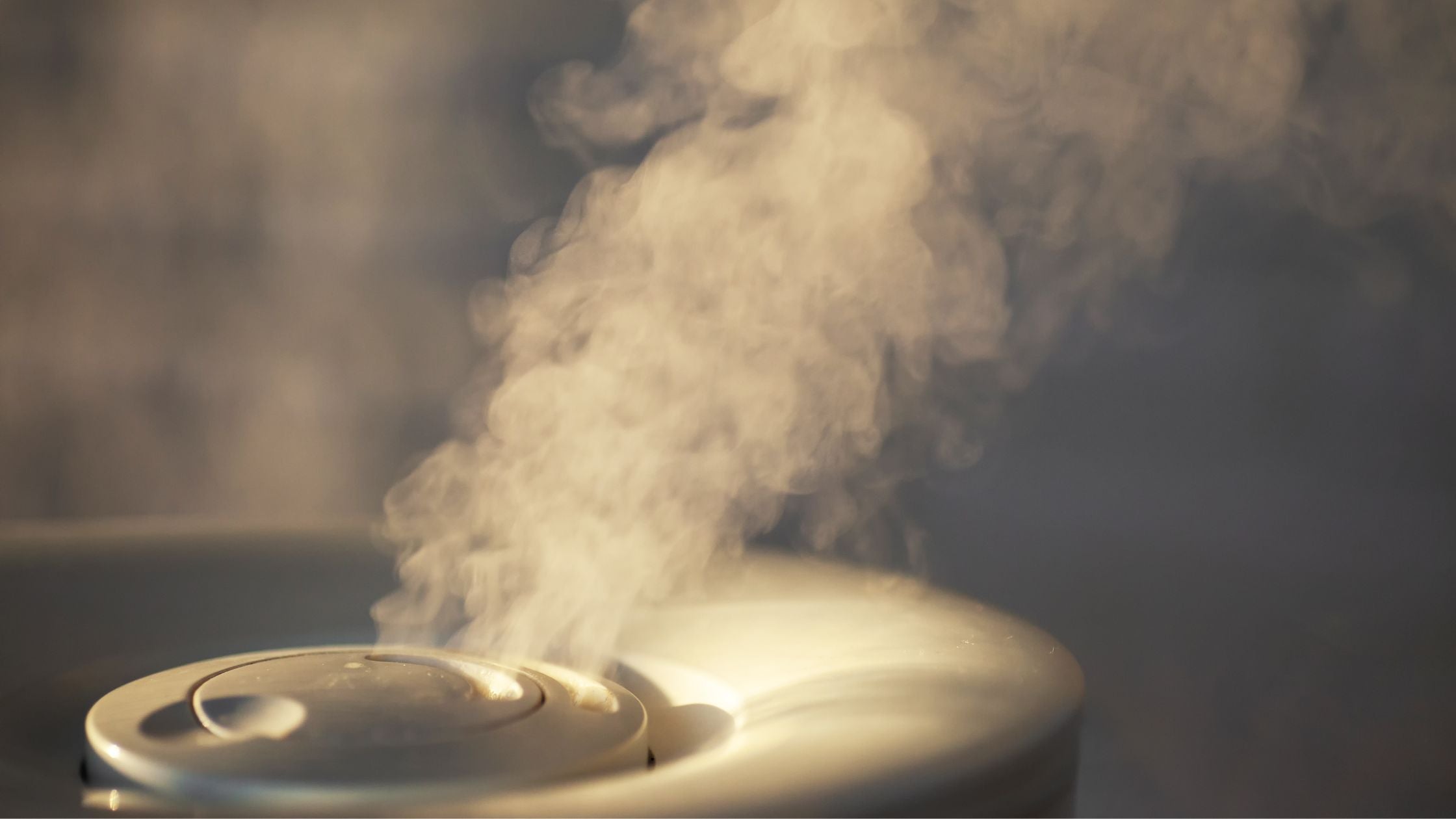 What Maintenance Does a Steam Room Generator Need?