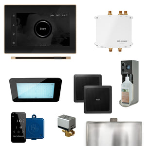 Bliss Linear Programmable Steam Generator Control Kit with iSteamX Control and Linear Steamhead in Black Brushed Bronze