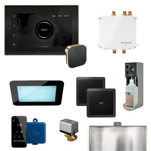 Bliss Programmable Steam Generator Control Kit with iSteamX Control and Aroma Glass Steamhead in Black Polished Brass