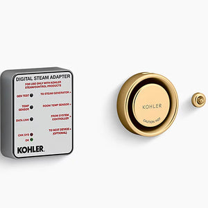 Invigoration Series Digital Steam Adapter Kit