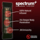 FD-1 Full-Spectrum Infrared Sauna
