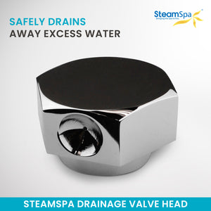 SteamSpa Drainage Valve Head in Brushed Nickel