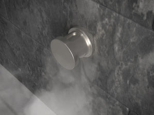 Steam Bath Generator 2 in. W Steam Head with Essential Oils Aromatherapy Scent Reservoir Channel in Brushed Nickel