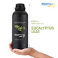 SteamSpa 100% Natural Essence of Eucalyptus 1000ml Aromatherapy Bottle